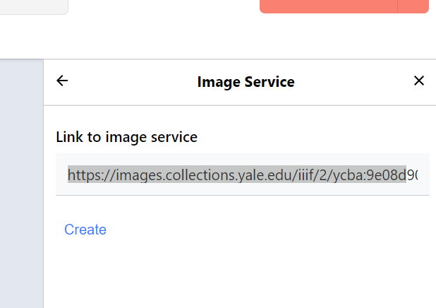 Paste the Image Service URL